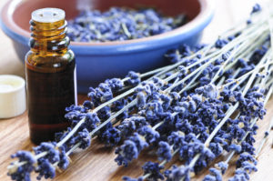 Aromatherapy oils and their uses lavender essential oil uses guide